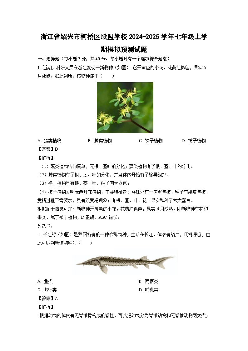 浙江省绍兴市柯桥区联盟学校2024-2025学年七年级上学期期末模拟预测科学试卷（解析版）