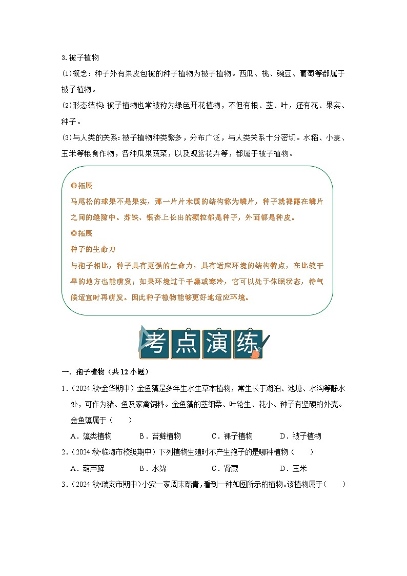 专题03 形形色色的植物(word)2025-2026学年七上科学浙教版2024期中复习学案知识点+习题(原卷版)第3页