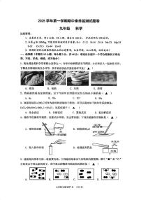 浙江省舟山普陀区2025-2026学年九年级上学期11月期中科学试卷