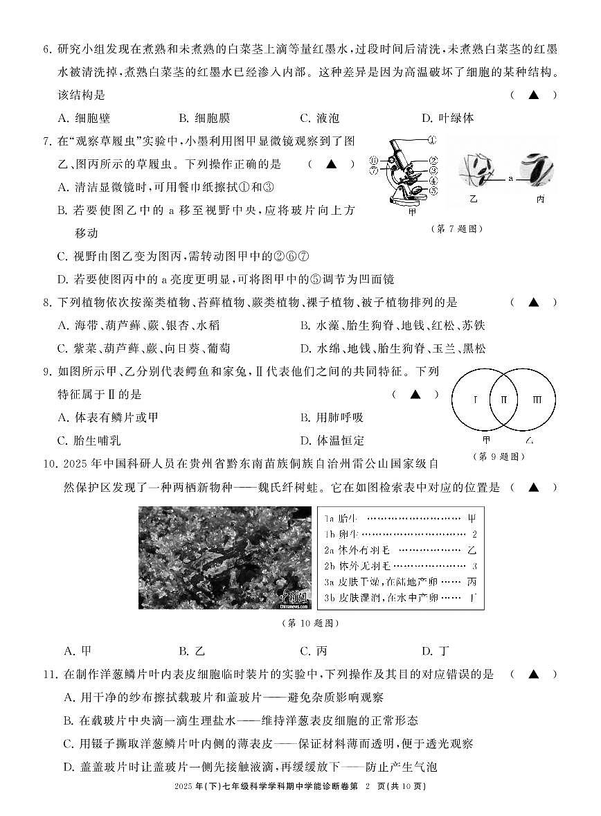 七科学期中学能诊断卷 (1)第2页