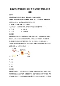 浙江省杭州市校级2024-2025学年七年级下学期3月月考科学试卷(解析版)