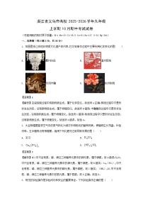浙江省义乌市名校2025-2026学年九年级上学期10月期中考试科学试卷（解析版）