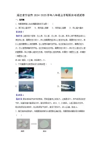 浙江省宁波市2024-2025学年八年级上学期期末考试科学试卷（解析版）