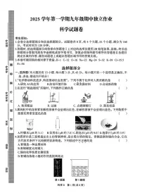 浙江省浙派联盟2025-2026学年九年级上学期期中考试科学试卷及答案