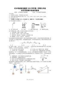 浙江省杭州观成实验学校2025-2026学年九年级上学期科学期中考试题