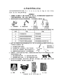 浙江省杭州市临平区2025-2026学年九年级上学期12月月考科学试题