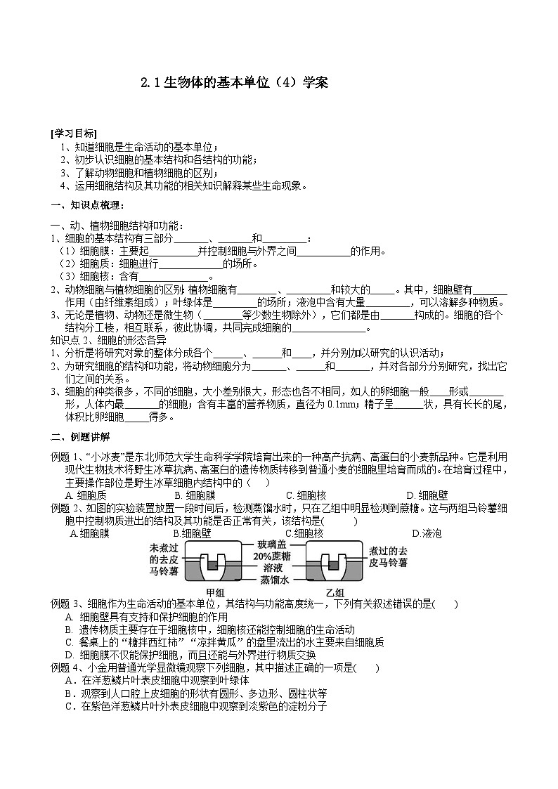 2.1生物体的基本单位(4) 学案 -2025-2026学年七年级上《科学》(浙教版)第1页