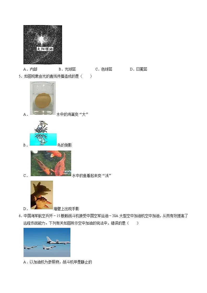 七上科学上学期期末模拟卷(一)(浙教版2024)(考试版A4)第2页