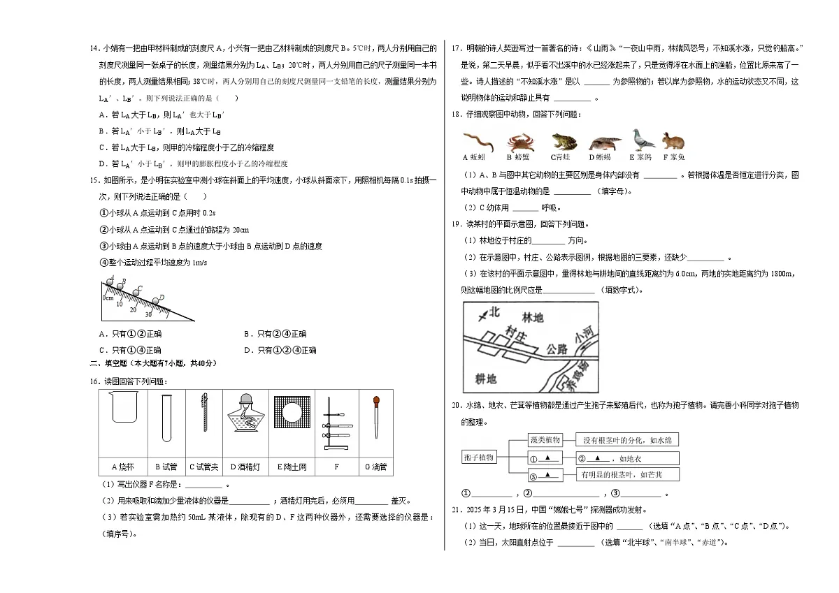 七上科学上学期期末模拟卷(一)(浙教版2024)(考试版A3)第3页