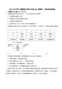 2025-2026学年【浙教版】科学七年级上册（新教材） 期末培优检测卷