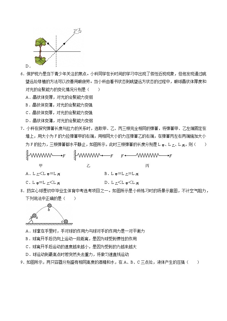 八上科学上学期期末模拟卷(三)(浙教版2024)(考试版A4)第3页