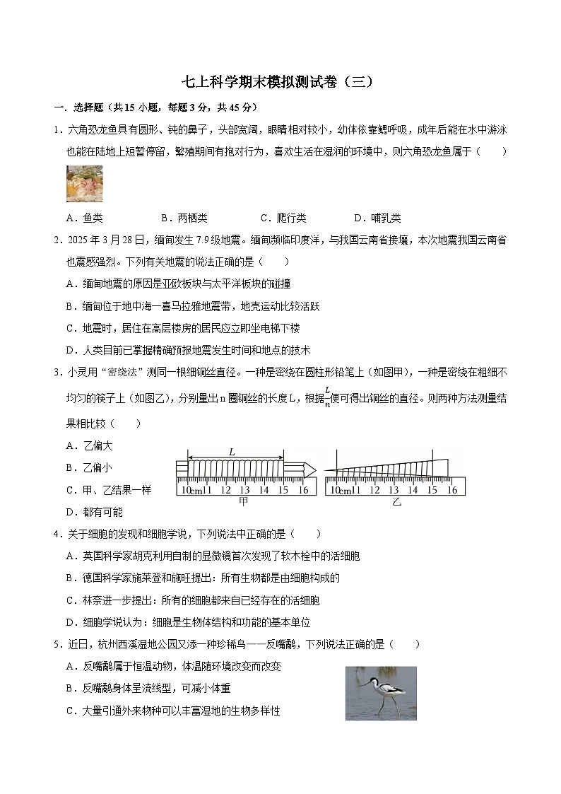 2025-2026学年浙教版七年级上学期科学期末模拟测试卷(三)(含答案解析)第1页