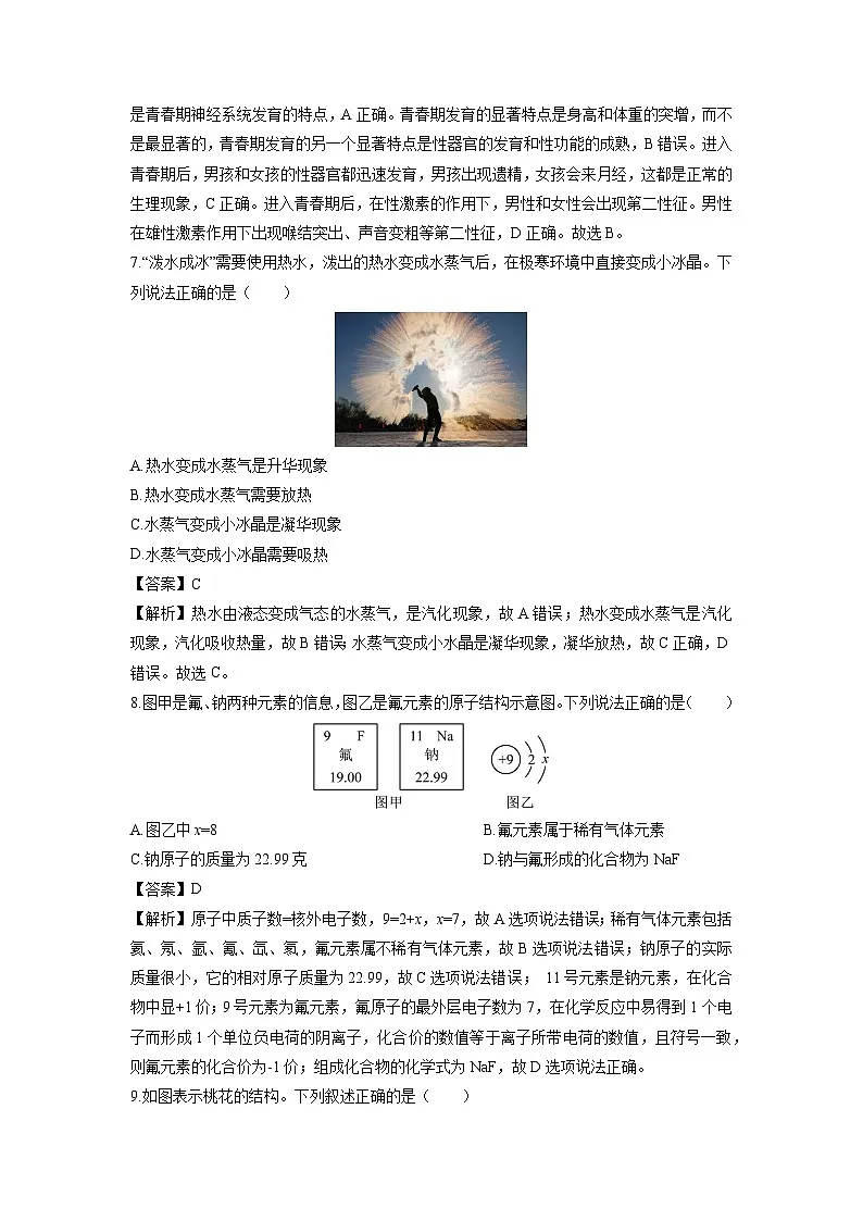 2024-2025学年浙江省绍兴市嵊州市七年级下学期期末卷科学试卷(解析版)第3页