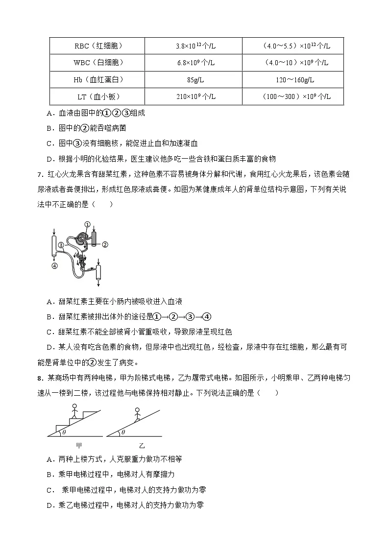 浙江省杭州市西湖区2025-2026学年上学期九年级科学期末质量监测模拟练习试卷第3页