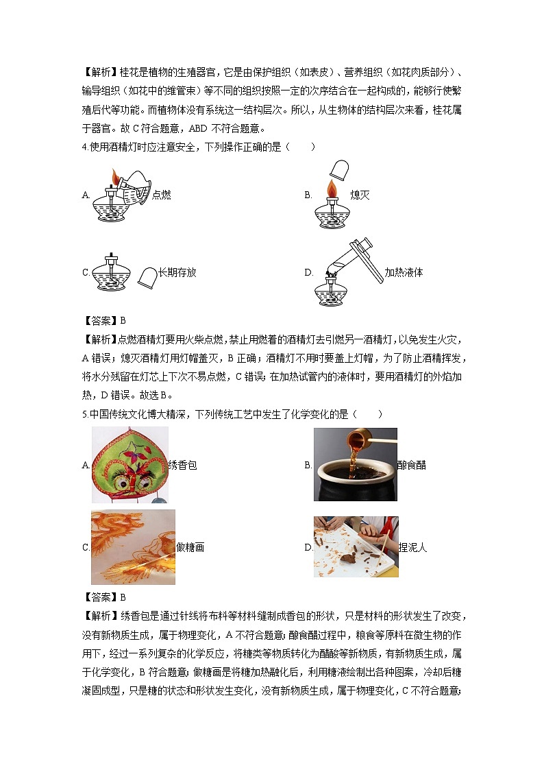 2024-2025学年浙江省宁波市慈溪市七年级下学期期末科学试卷(解析版)第2页