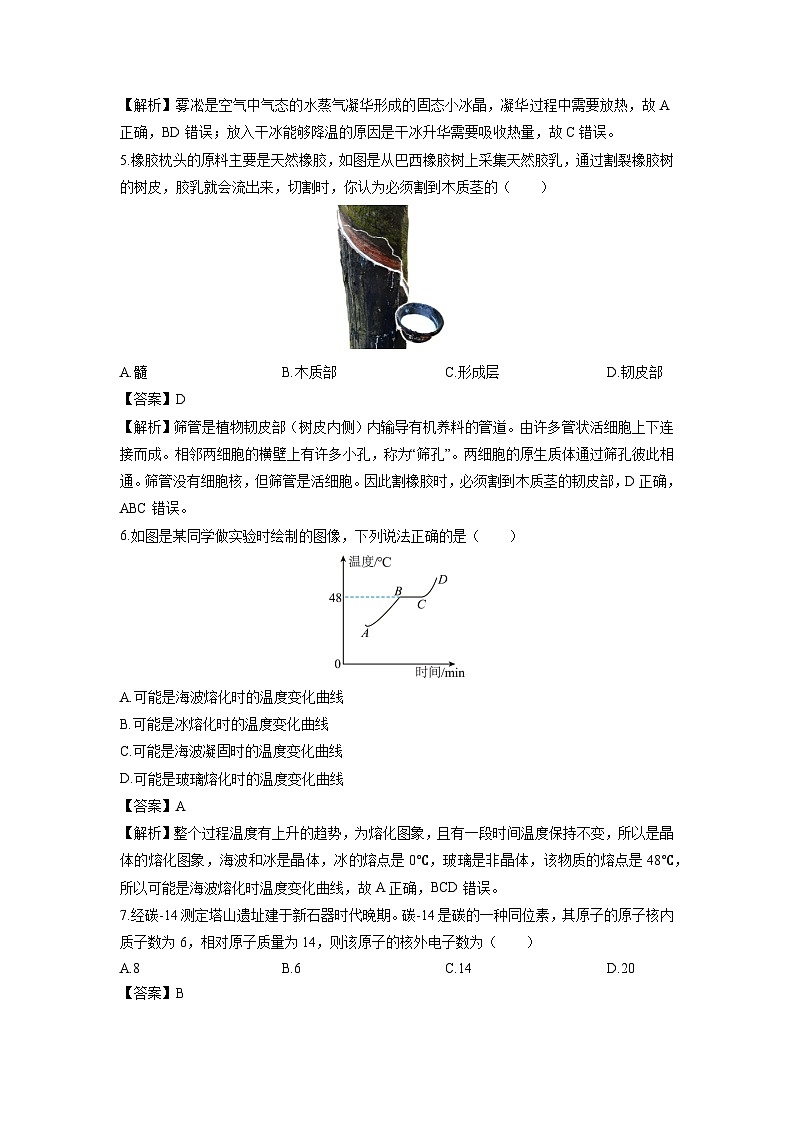 2024-2025学年浙江省宁波市宁海县七年级下学期6月期末科学试卷(解析版)第3页