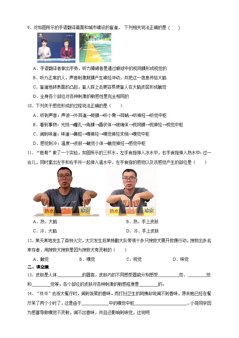 新浙教版八年级科学上册1.1感觉世界 同步练习(含解析)第2页
