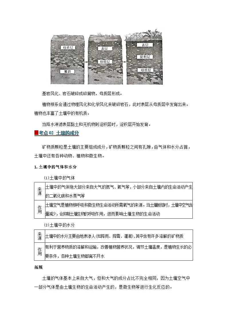 第4章第2节土壤的结构2025-2026学年初中科学七下同步复习讲义(原卷版)第3页