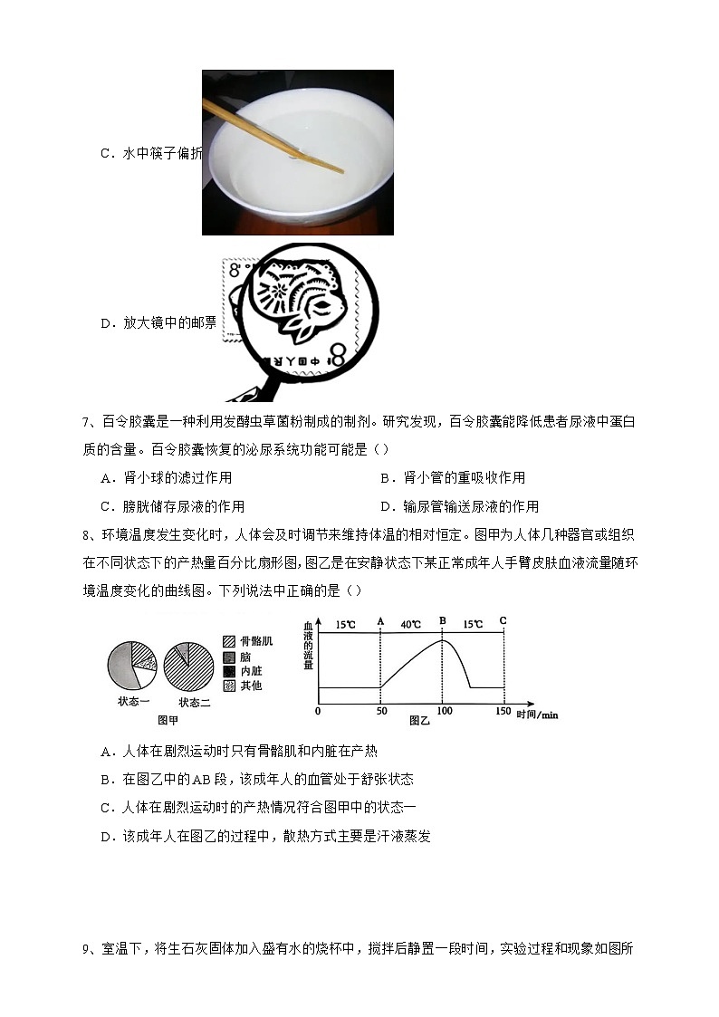 【中考必刷卷】2026年中考科学模拟试卷03(学生版)第3页