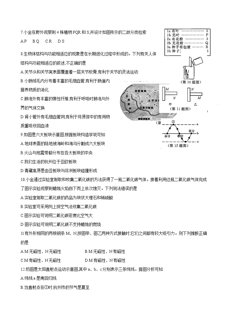 2020年浙江省杭州市中考科学试卷（含答案）02