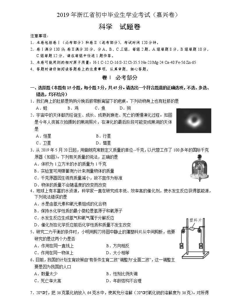 2019年浙江省嘉兴市中考科学试卷(含解析)