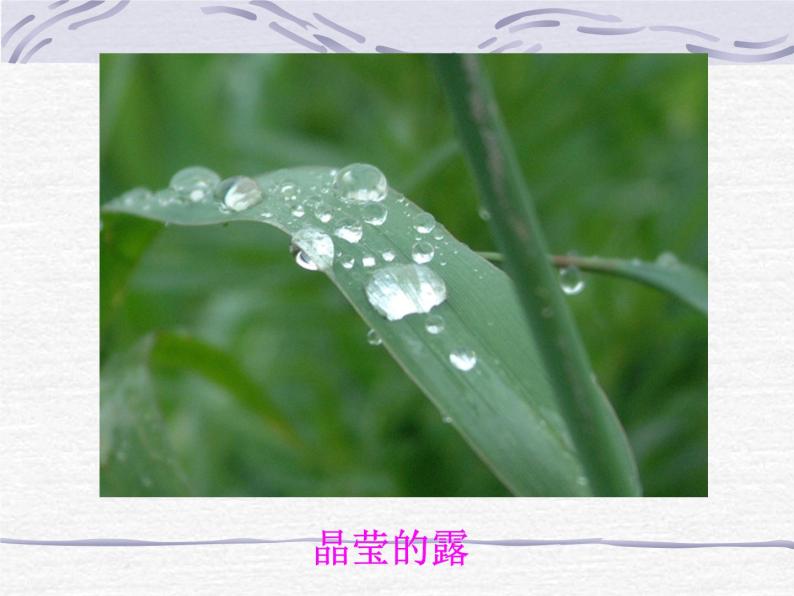 牛津上海版科学六年级下册 6.3.3 自然界里的水循环 PPT课件04