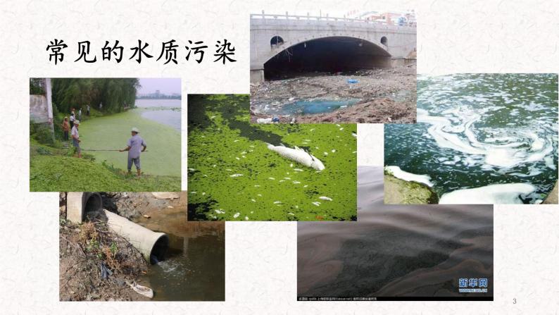牛津上海版科学六年级下册 6.4 保护水资源 PPT课件03