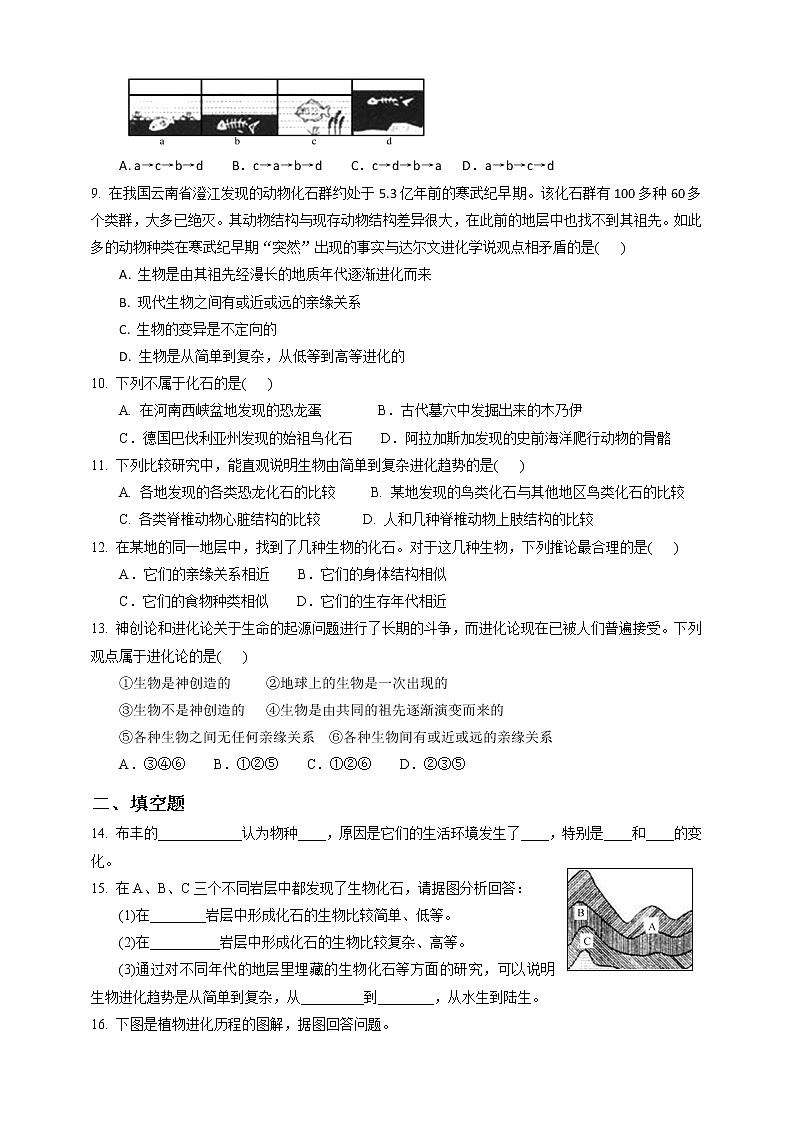 浙教版九年科學下冊第1章第4節(jié)生物的進化 第1課時(習題)第2頁