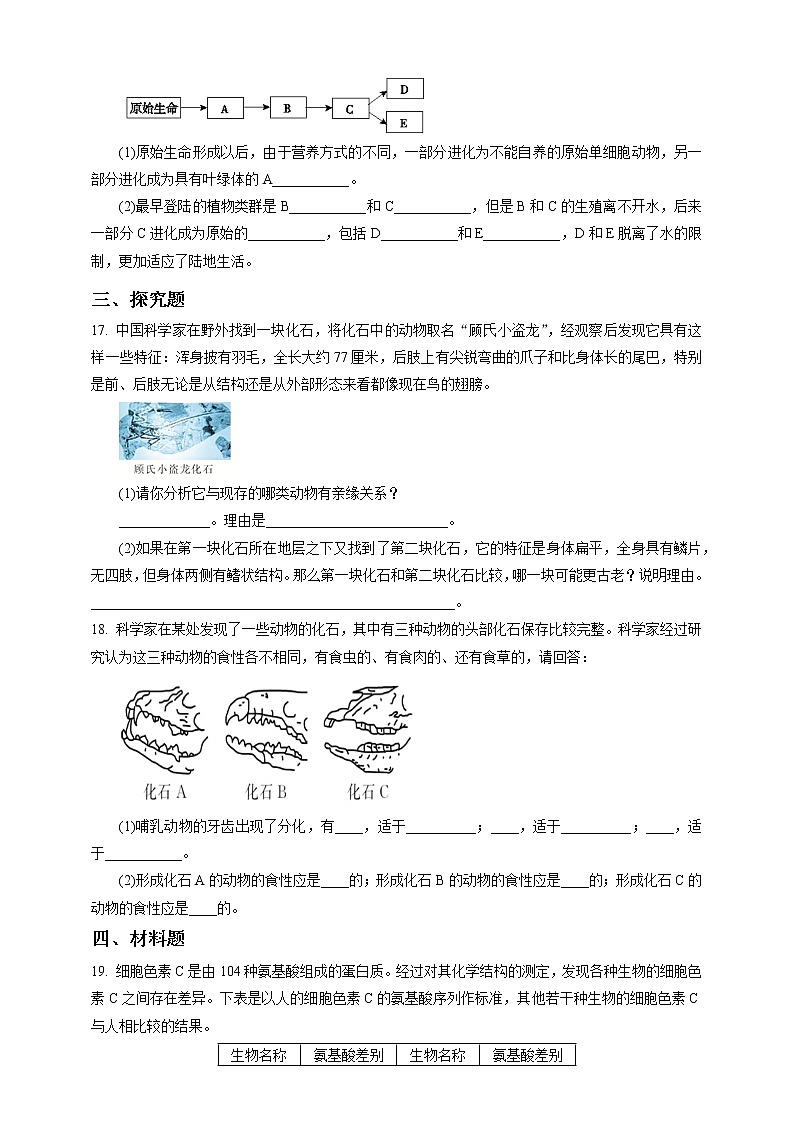 浙教版九年科學下冊第1章第4節(jié)生物的進化 第1課時（習題）第3頁