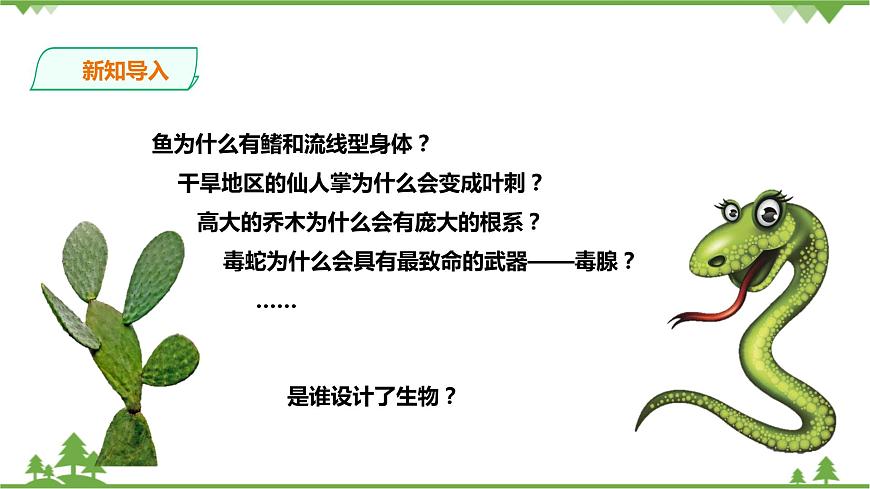 浙教版九年科學下冊第1章第4節(jié)生物的進化 第1課時（課件）第2頁