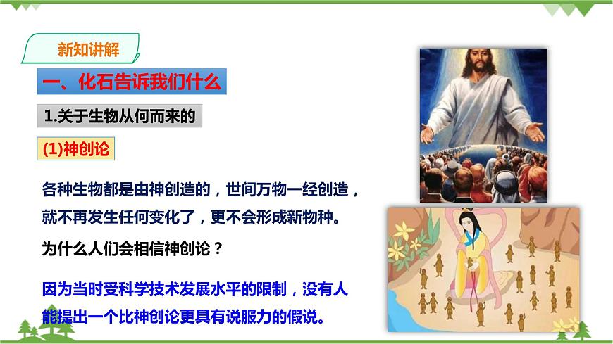 浙教版九年科學下冊第1章第4節(jié)生物的進化 第1課時（課件）第3頁