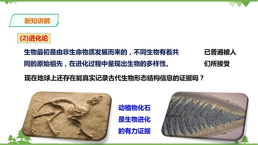 浙教版九年科學下冊第1章第4節(jié)生物的進化 第1課時（課件）第4頁