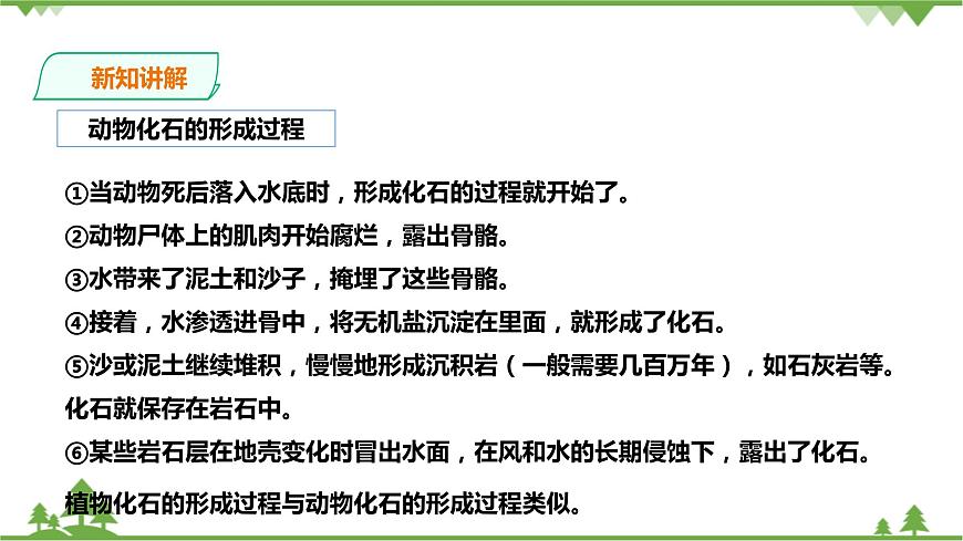 浙教版九年科學下冊第1章第4節(jié)生物的進化 第1課時（課件）第7頁