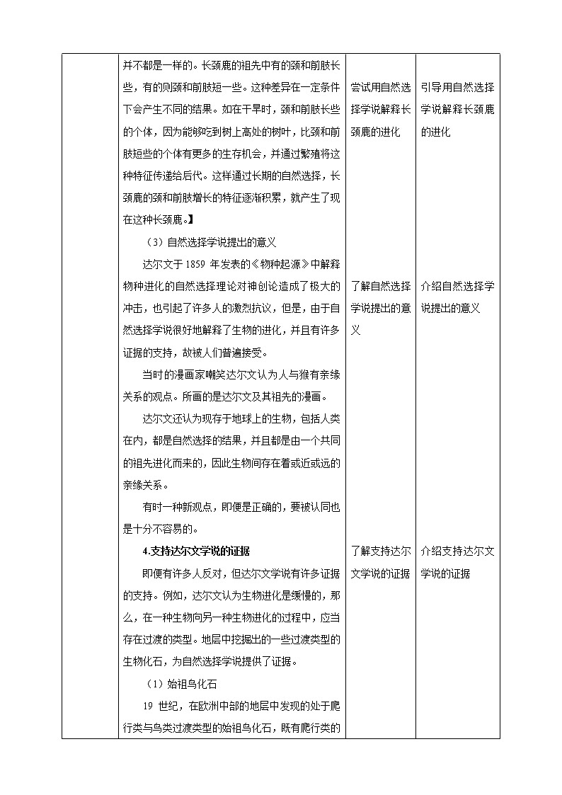 1.4《生物的进化 第2课时》PPT课件+教案+练习+素材 浙教版九年级科学下册03