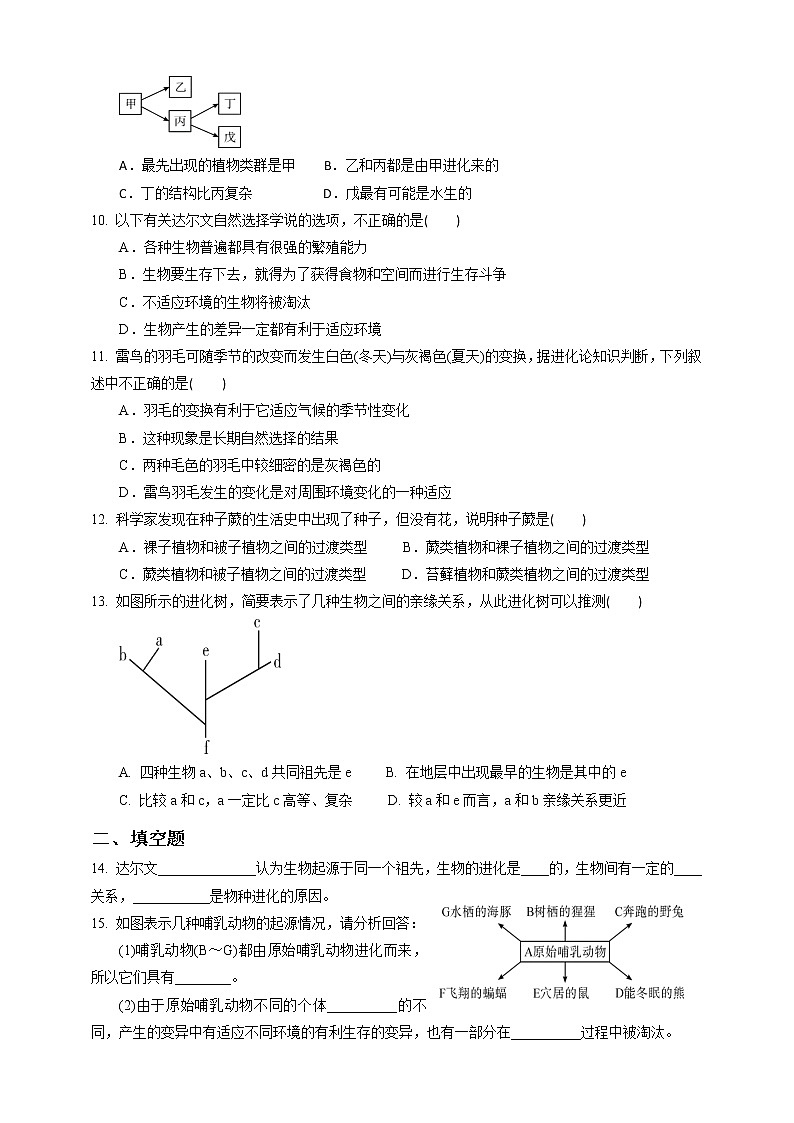 1.4《生物的进化 第2课时》PPT课件+教案+练习+素材 浙教版九年级科学下册02