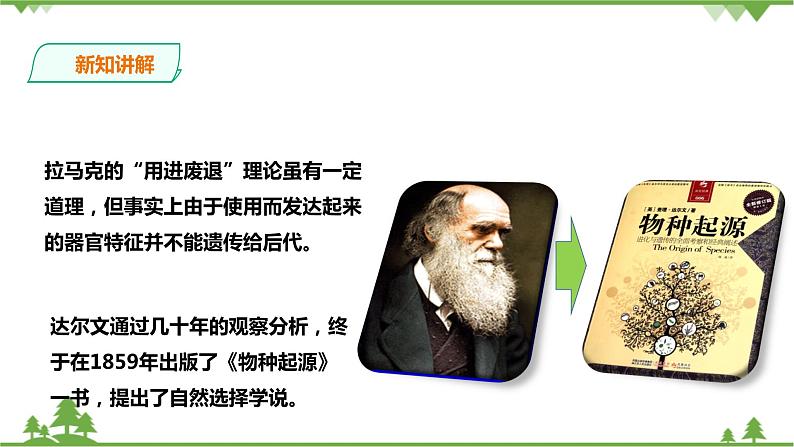 1.4《生物的进化 第2课时》PPT课件+教案+练习+素材 浙教版九年级科学下册03