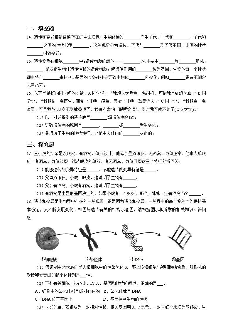 浙教版九年科學(xué)下冊(cè)第1章第5節(jié)遺傳與進(jìn)化 第1課時(shí)(習(xí)題)第3頁
