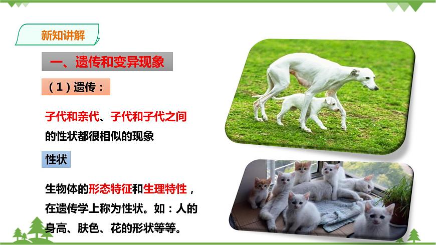 浙教版九年科學(xué)下冊(cè)第1章第5節(jié)遺傳與進(jìn)化 第1課時(shí)(課件)第3頁