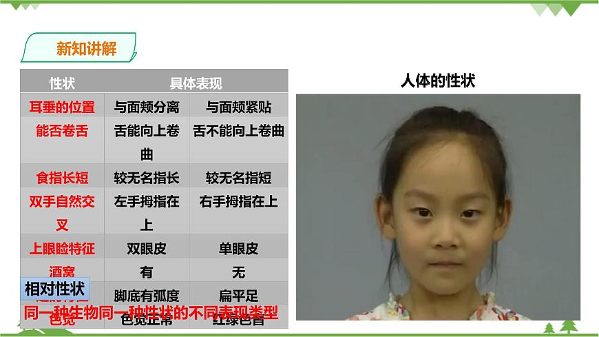 浙教版九年科學(xué)下冊(cè)第1章第5節(jié)遺傳與進(jìn)化 第1課時(shí)(課件)第4頁