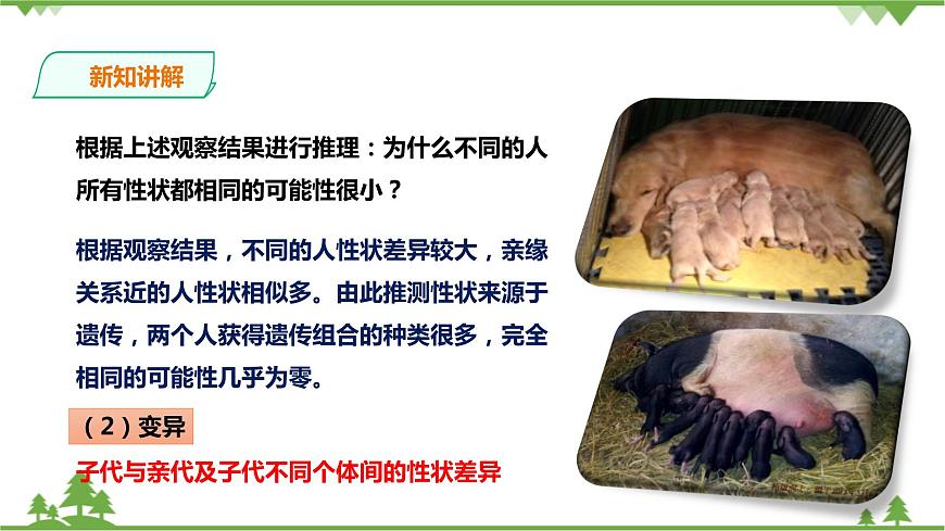 浙教版九年科學(xué)下冊(cè)第1章第5節(jié)遺傳與進(jìn)化 第1課時(shí)(課件)第5頁