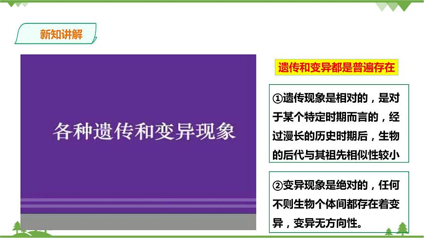 浙教版九年科學(xué)下冊(cè)第1章第5節(jié)遺傳與進(jìn)化 第1課時(shí)(課件)第6頁