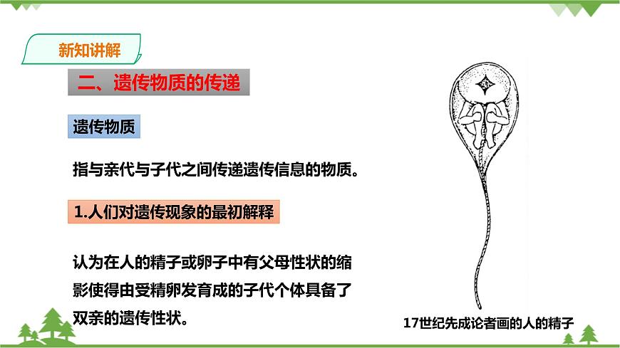 浙教版九年科學(xué)下冊(cè)第1章第5節(jié)遺傳與進(jìn)化 第1課時(shí)(課件)第7頁