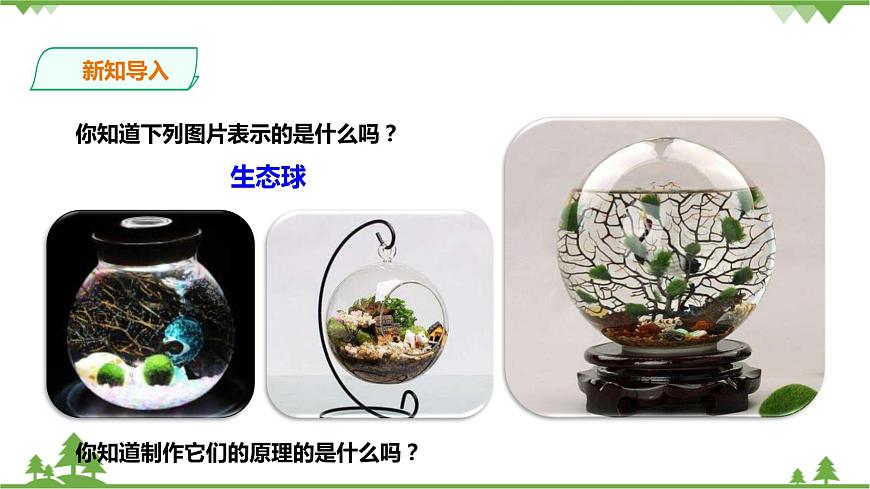 浙教版九年科學(xué)下冊(cè)第2章第5節(jié)生態(tài)系統(tǒng)的穩(wěn)定性 第2課時(shí)(課件)第2頁(yè)