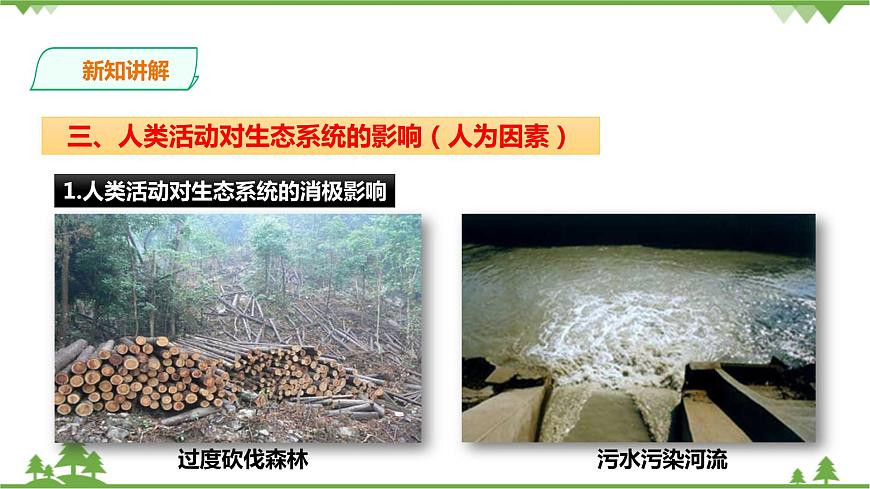 浙教版九年科學(xué)下冊(cè)第2章第5節(jié)生態(tài)系統(tǒng)的穩(wěn)定性 第2課時(shí)（課件）第3頁(yè)