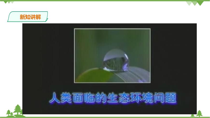 浙教版九年科學(xué)下冊(cè)第2章第5節(jié)生態(tài)系統(tǒng)的穩(wěn)定性 第2課時(shí)（課件）第4頁(yè)