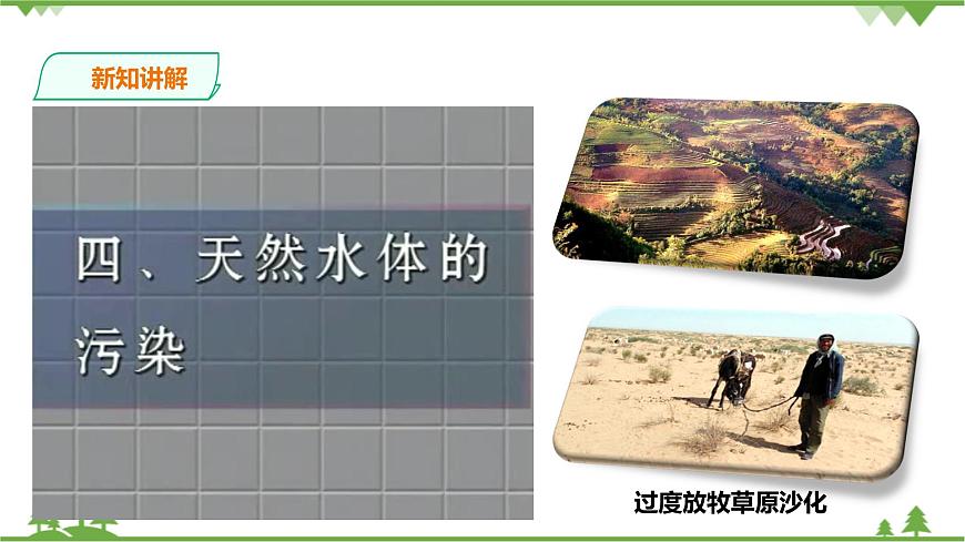 浙教版九年科學(xué)下冊(cè)第2章第5節(jié)生態(tài)系統(tǒng)的穩(wěn)定性 第2課時(shí)（課件）第5頁(yè)