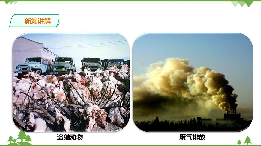 浙教版九年科學(xué)下冊(cè)第2章第5節(jié)生態(tài)系統(tǒng)的穩(wěn)定性 第2課時(shí)（課件）第6頁(yè)