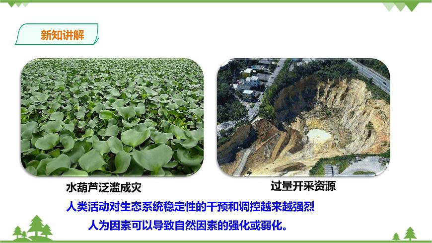 浙教版九年科學(xué)下冊(cè)第2章第5節(jié)生態(tài)系統(tǒng)的穩(wěn)定性 第2課時(shí)（課件）第7頁(yè)