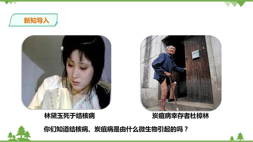 浙教版九年科學下冊第3章第2節(jié)來自微生物的威脅 第1課時（課件）第2頁