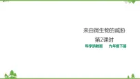 科学九年级下册第 2 节 来自微生物的威胁精品课件ppt